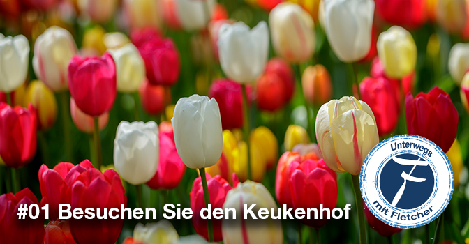 #01 Besuchen Sie den Keukenhof