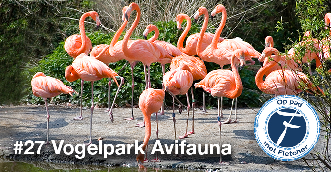 #27 Vogelpark Avifauna