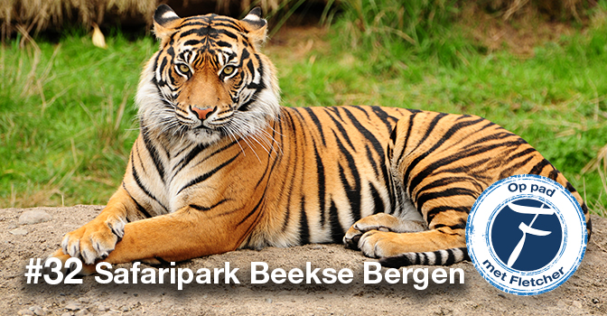 #32 Safaripark Beekse Bergen