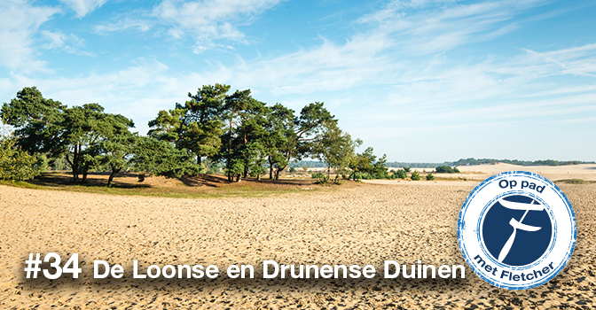 #34 De Loonse en Drunense Duinen  