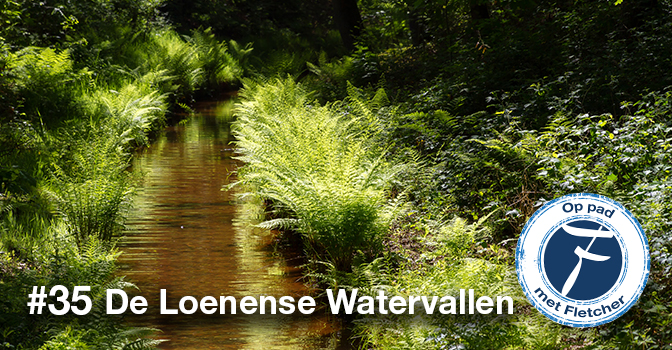 #35 De Loenense Watervallen