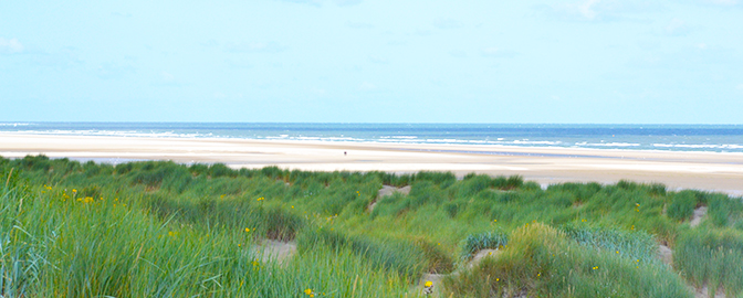 Strand von Ouddorp