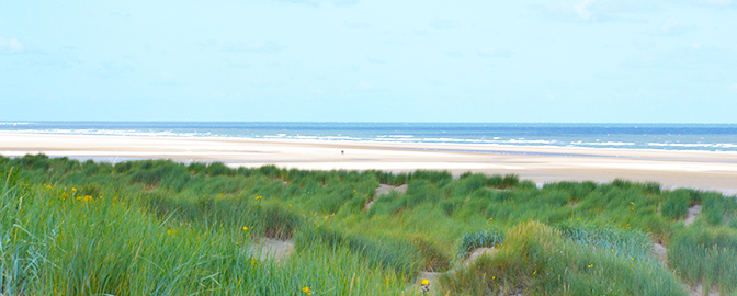 Noordzeestrand, Ouddorp