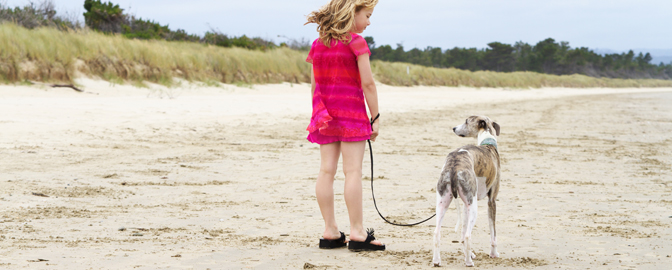 Strand mit Hund