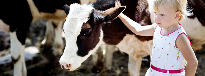 Kind op de beleefboerderij