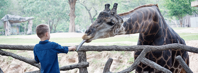 Kind met giraf in GaiaZOO