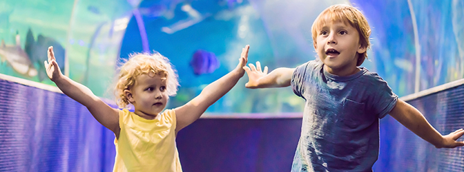 Kinderen in SEA LIFE Scheveningen