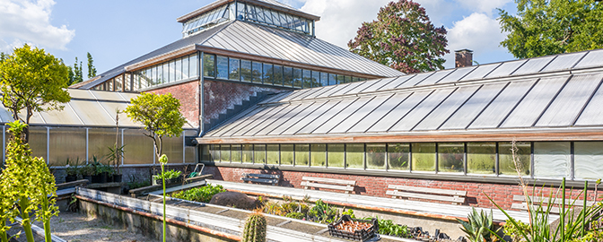 Botanische Gärten Leiden