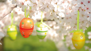 2-, 3- or 4-day Happy Easter Package_0