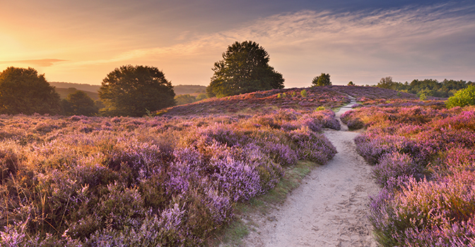 Knusse Fletcher hotels op de Veluwe