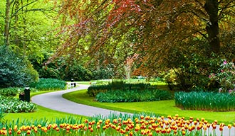 De Keukenhof in de lente