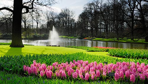 Keukenhof in Lisse