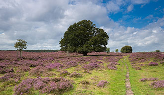 Nationaal Park Veluwezoom