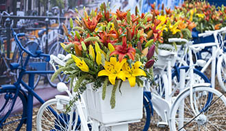 Bloemenshow bij de Keukenhof