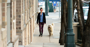 Vrouw laat hond uit in de stad