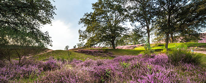 Poëzieroute Nationaal Park Veluwezoom