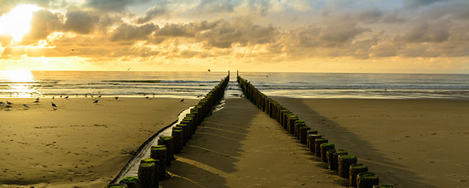 Strand von Zeeland