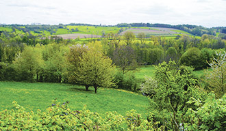 Omgeving van Valkenburg