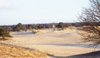 Omgeving Oosterwolde