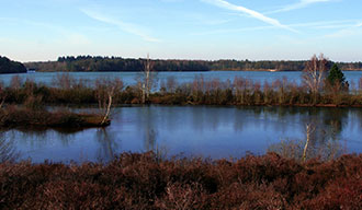 De Maasduinen nabij Arcen