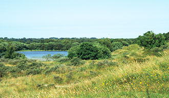 Omgeving van Heerenveen