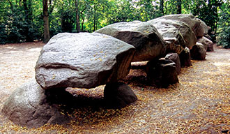 Hunebed in de omgeving van Roden