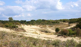 Nationaal Park De Hoge Veluwe