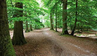 Omgeving van Beuningen in Overijssel