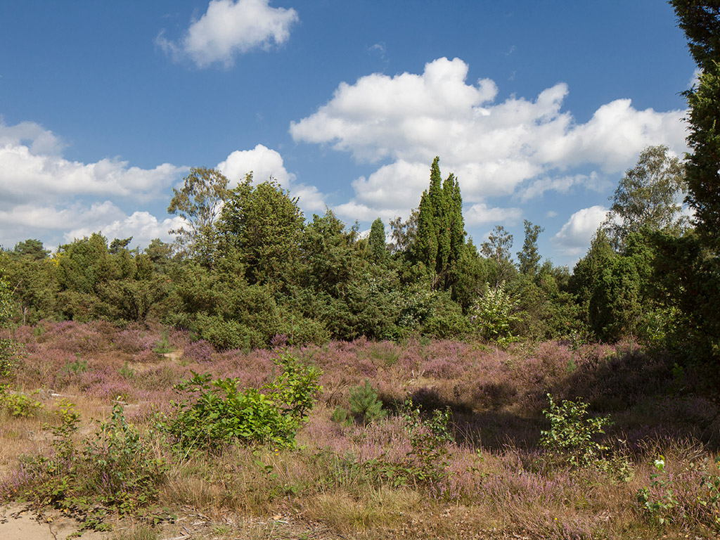 Hotel Rijssen Fletcher HotelRestaurant Sallandse Heuvelrug