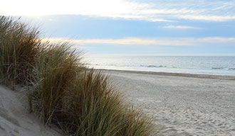 Omgeving van Renesse in Zeeland