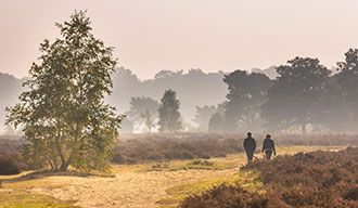 Veluwe in de buurt van Apeldoorn