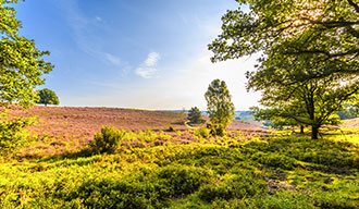 Omgeving van de Veluwe