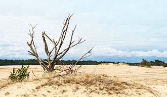 Omgeving van Beekbergen