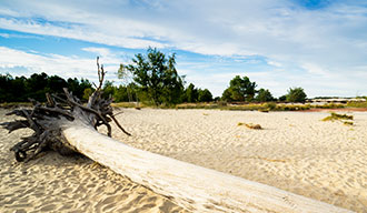 Nationaal Park De Loonse en Drunense Duinen