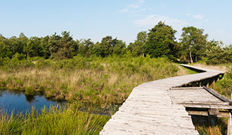 Omgeving van Helmond