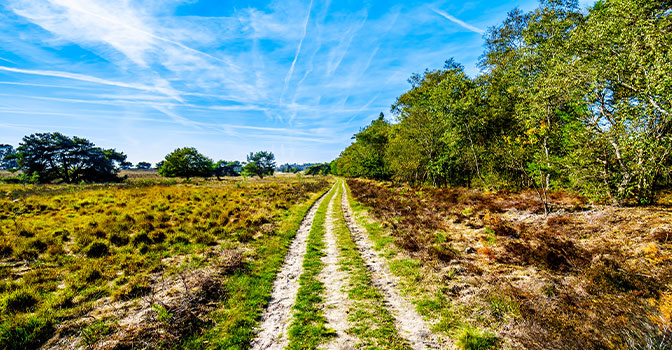 De 4 mooiste wandelroutes over de Veluwe